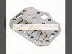 Bitzer S4BCF Ventilplatten-Baugruppe (58.0)-LP(6.5), 304069-08, 818601B für AC-Klimakompressor