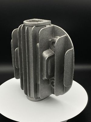 Kundengebundenes Metalledelstahl-Spritzen macht glatt,/raue Oberfläche