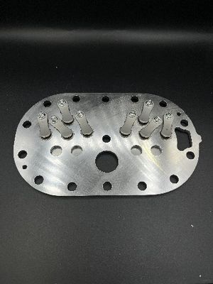 Anpassungsventilplatten für industrielle Anwendungen Kompressorventilplatte