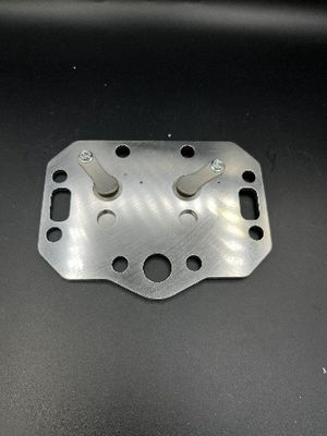 Alle Ventilteller- und Ventilplatte werden durch die Fabrik an der Quellkompressor-Ventil-Platte besonders angefertigt